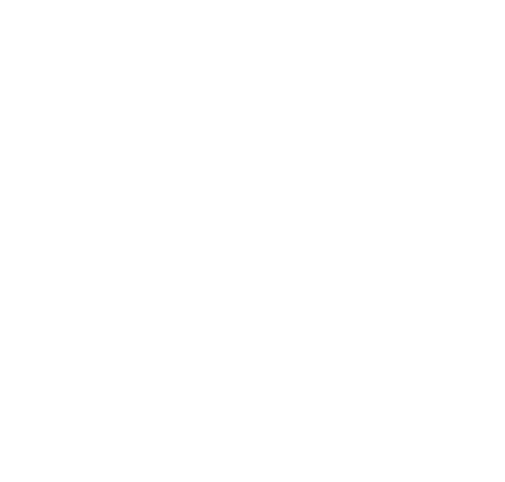 Best-in-class support icon